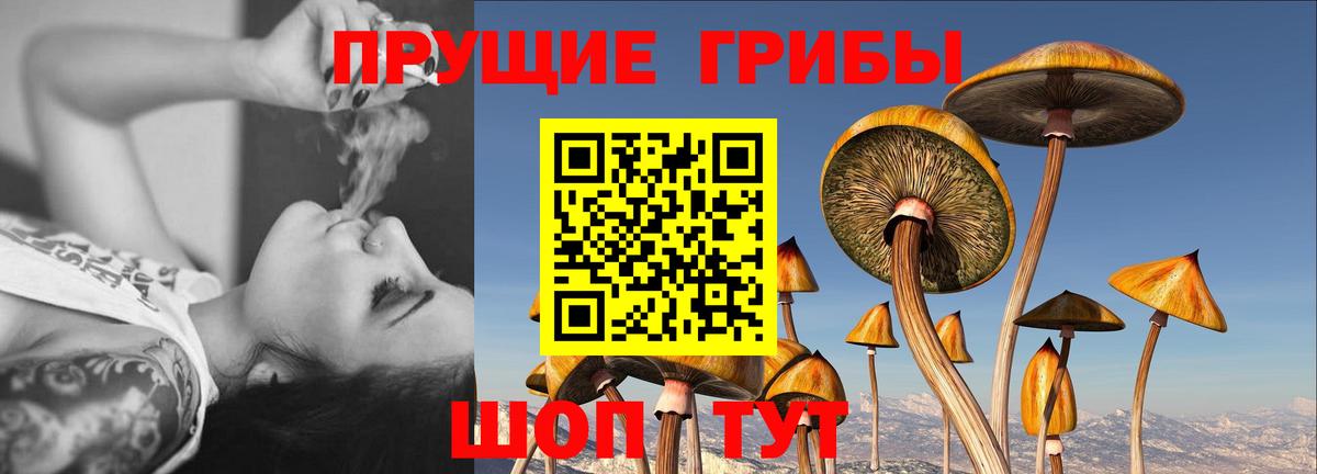 Галлюциногенные грибы мухоморы Ликино-Дулёво